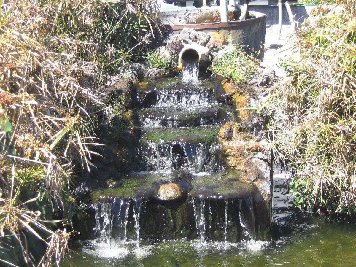 Les Grevilleas La Plaine des Cafres Exterior foto
